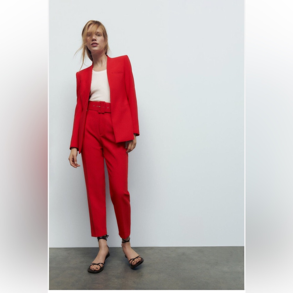 NWT Zara pants. Bloggers favorite - Picture 4 of 16